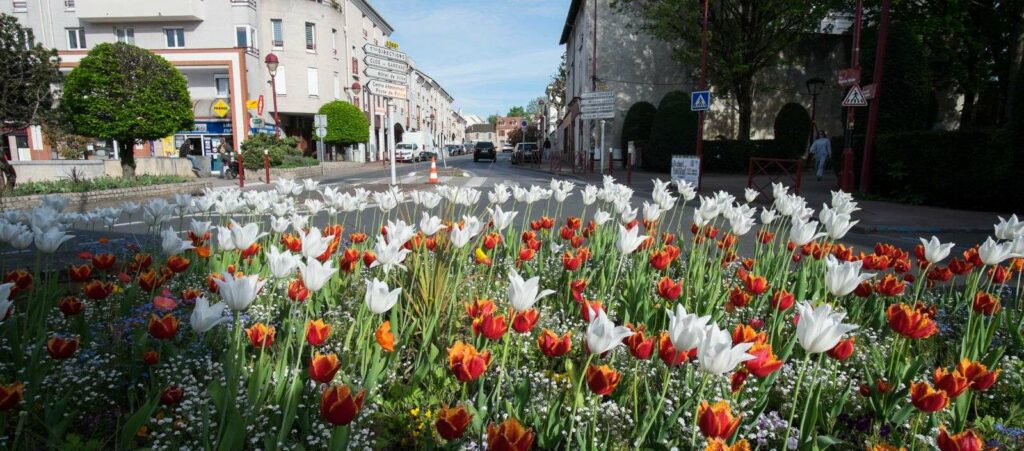 Bannière pour Notre Projet